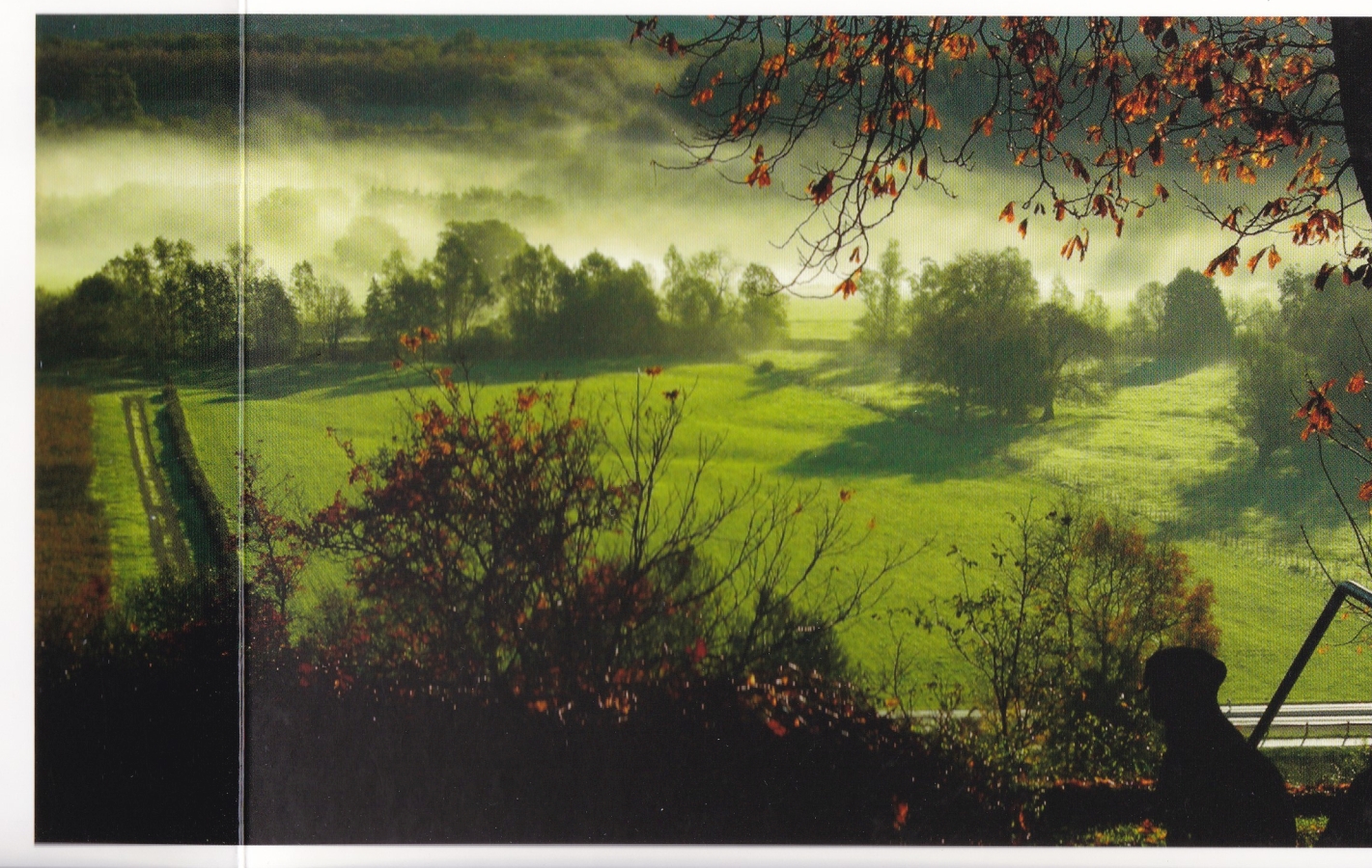 Morgennebel