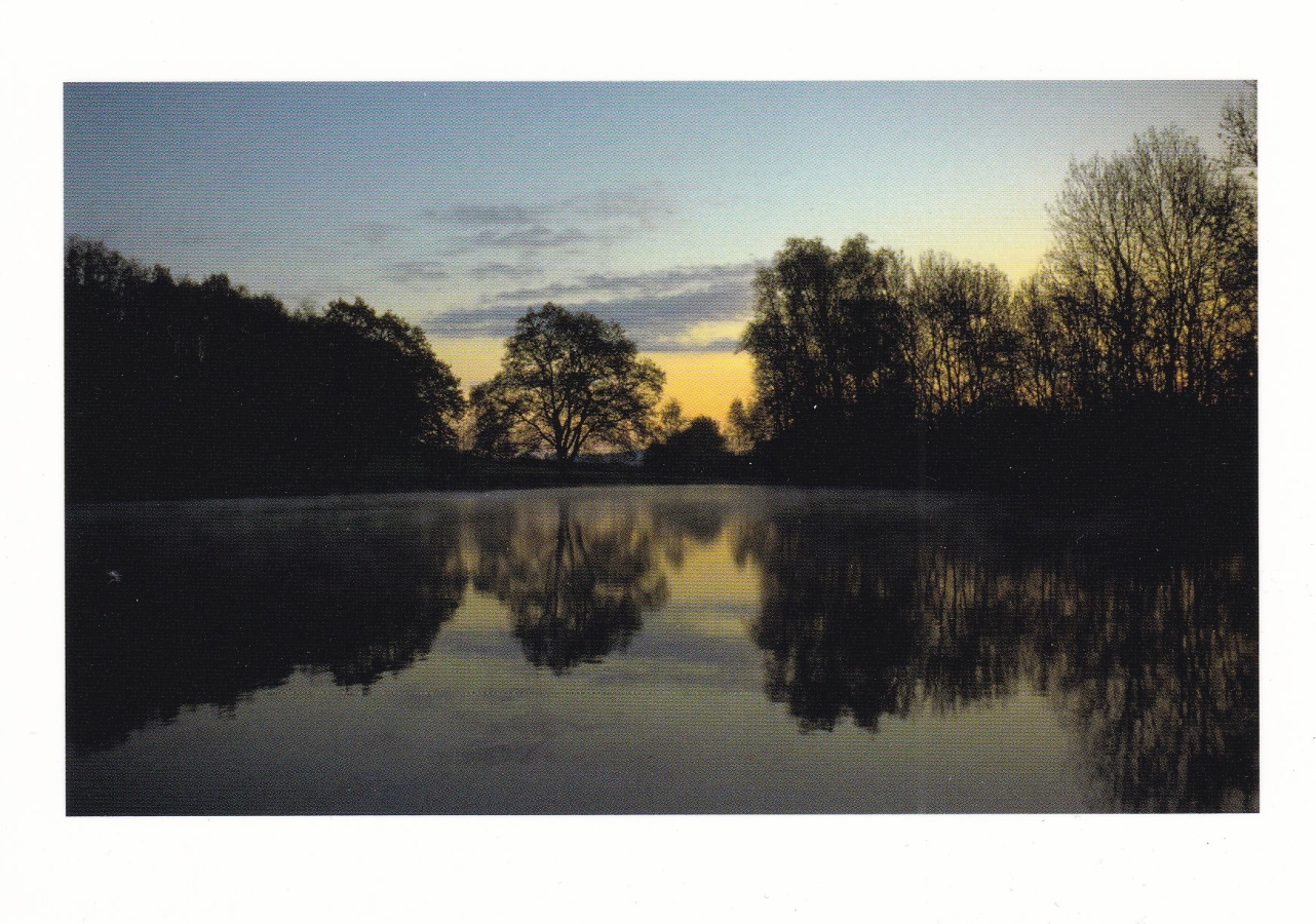 Morgenstimmung am See