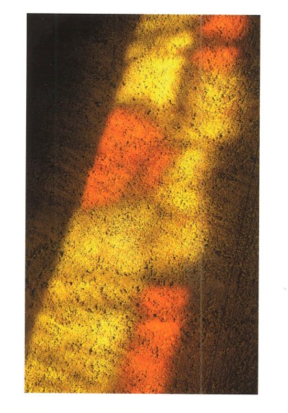 Vitrail ombres - Schatten der Kirchenfenster